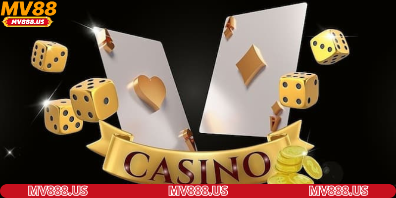 Giới thiệu thông tin tổng quát về danh mục tin tức